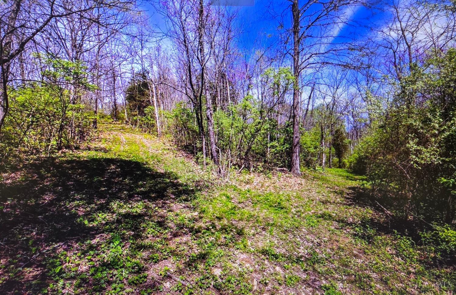 Carolina Trace Road, Harrison Twp, OH, 45030