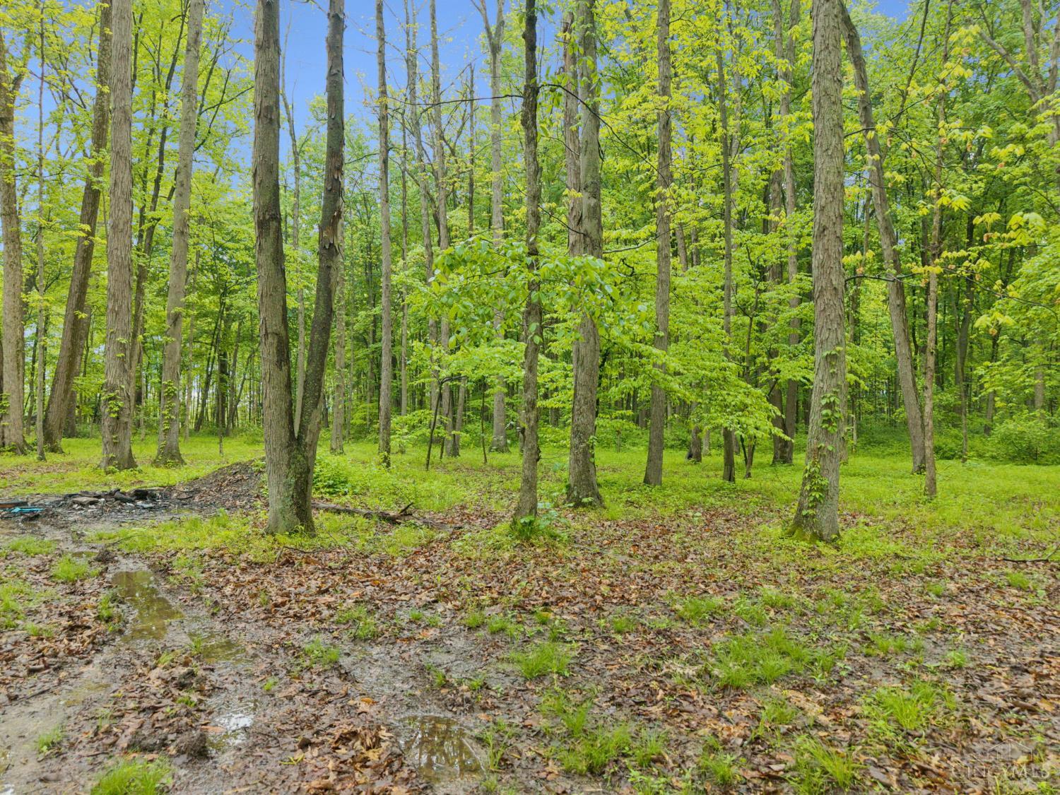 582 Nauvoo Road, Vernon Twp, OH, 45113 — photo 13
