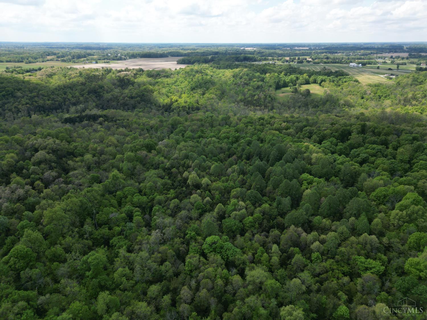 Chesterville Road, Moores Hill, IN, 47032 — photo 13
