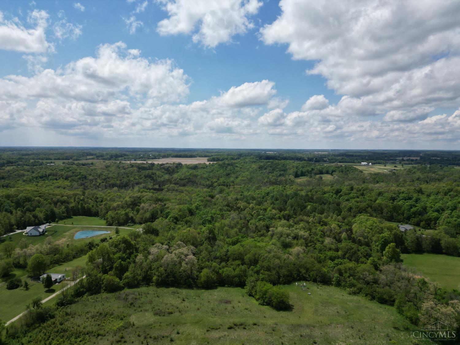 Chesterville Road, Moores Hill, IN, 47032 — photo 4