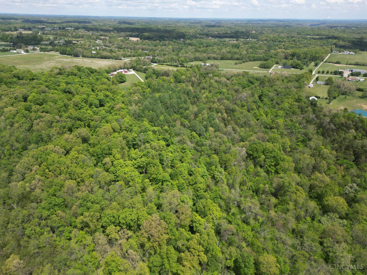 Chesterville Road, Moores Hill, IN, 47032 — photo 19