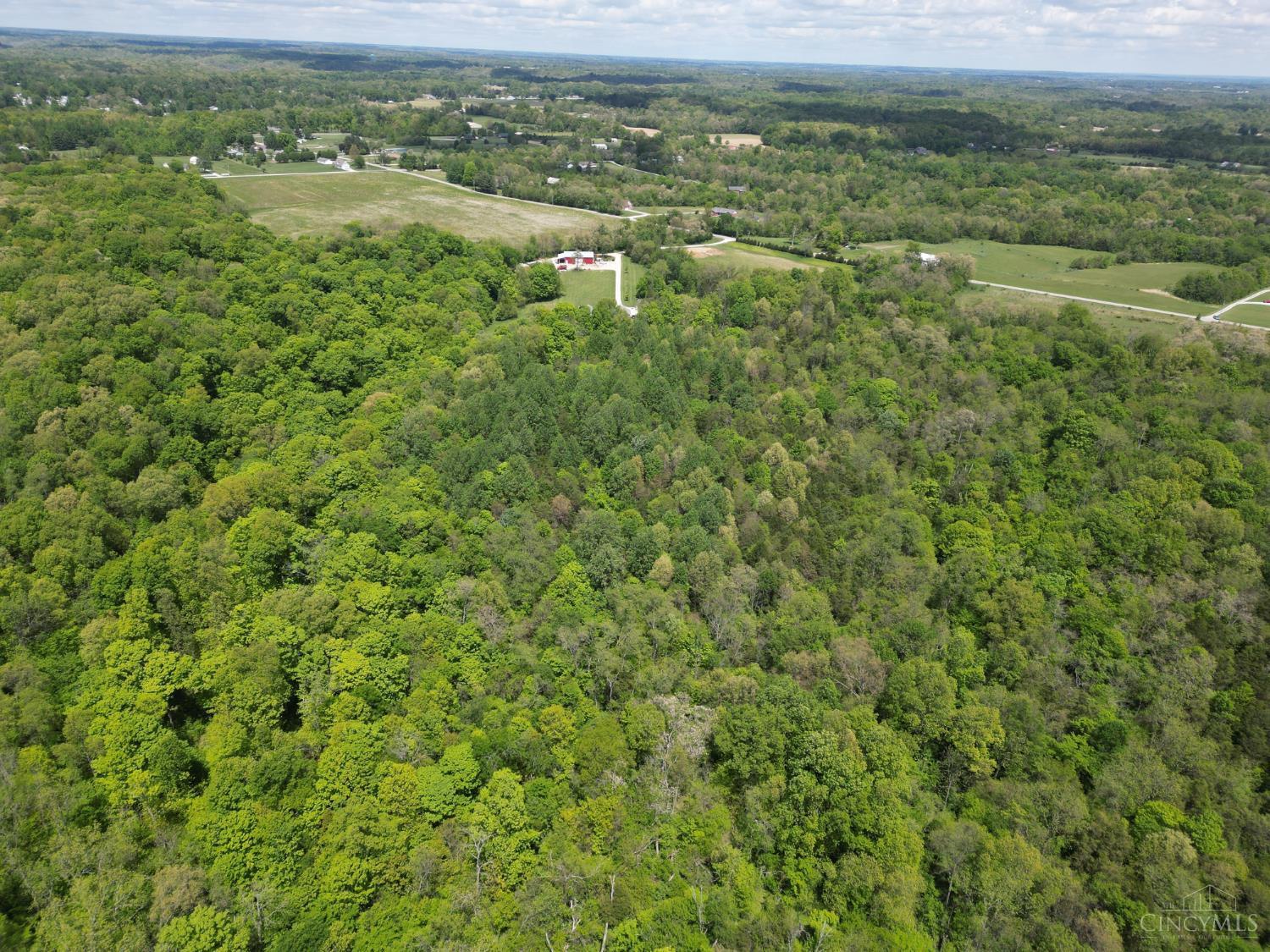 Chesterville Road, Moores Hill, IN, 47032 — photo 20