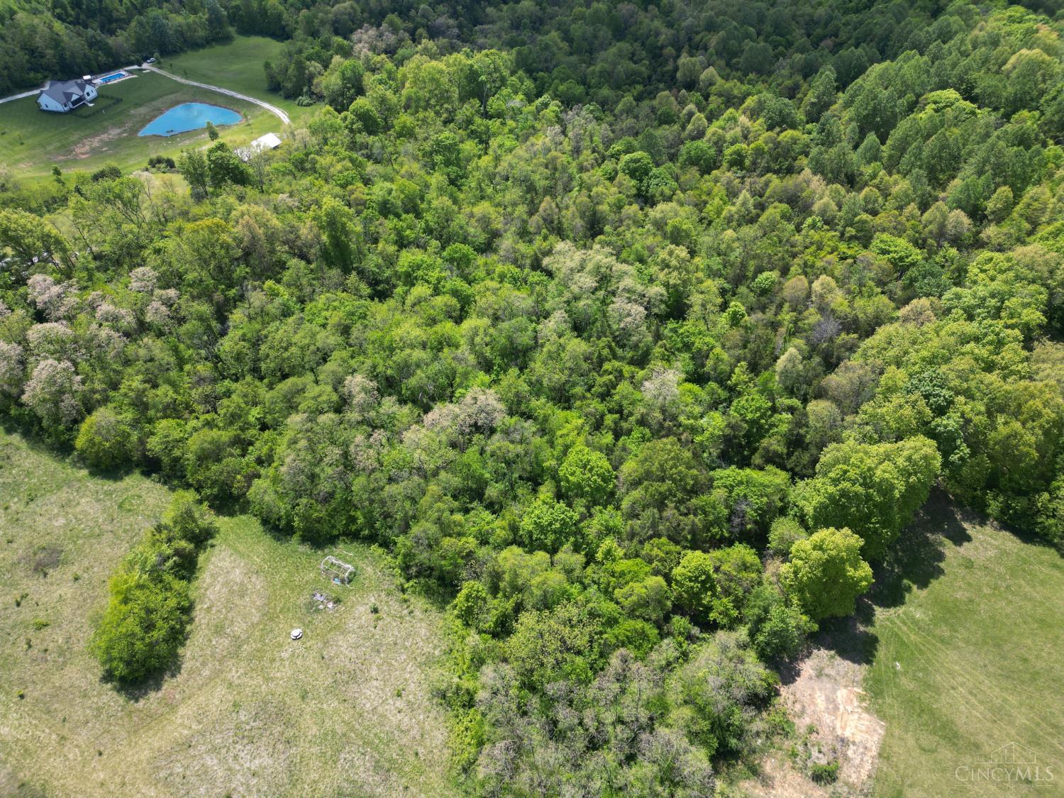 Chesterville Road, Moores Hill, IN, 47032 — photo 8