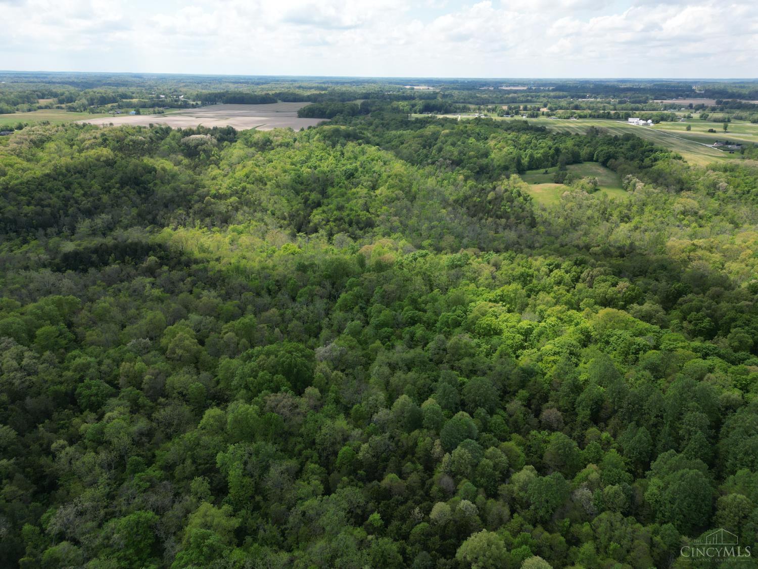 Chesterville Road, Moores Hill, IN, 47032 — photo 14