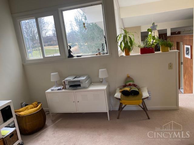 10251 Pendery Drive, Montgomery, OH, 45242 — photo 35