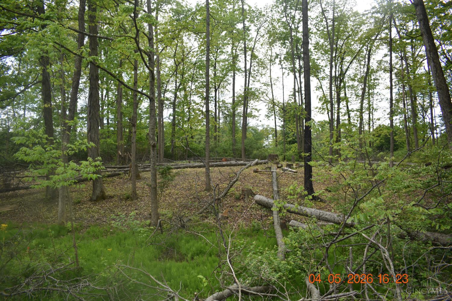 Schlitz Drive #208, Perry Twp, OH, 45118 — photo 2