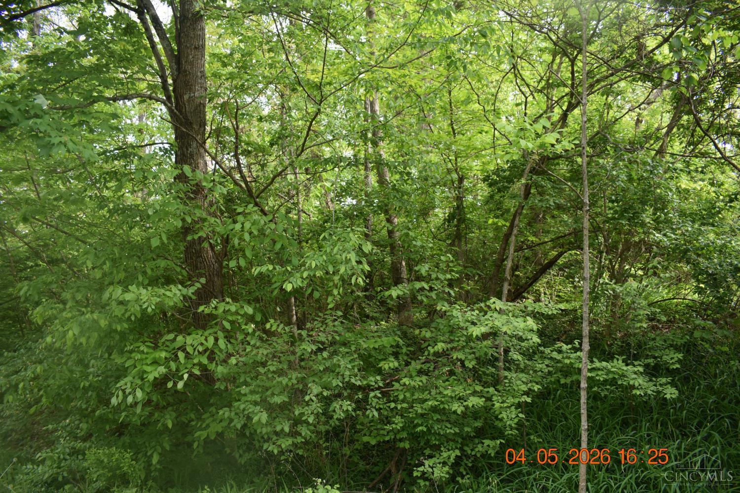 Schlitz Drive #211, Perry Twp, OH, 45118