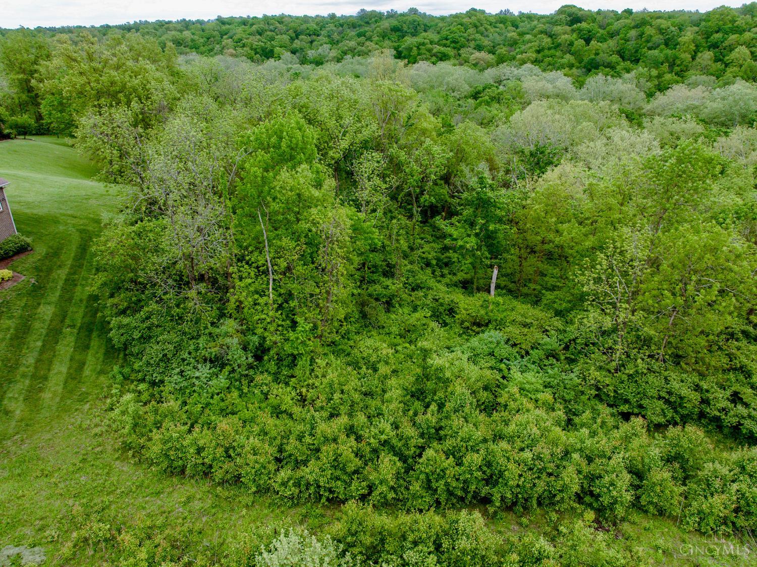 Kings View Court, Deerfield Twp., OH, 45034 — photo 12