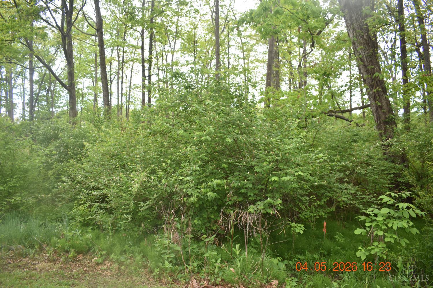 209 Schlitz Drive #209, Perry Twp, OH, 45118 — photo 2