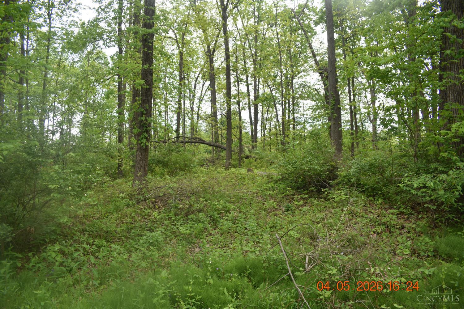 209 Schlitz Drive #209, Perry Twp, OH, 45118