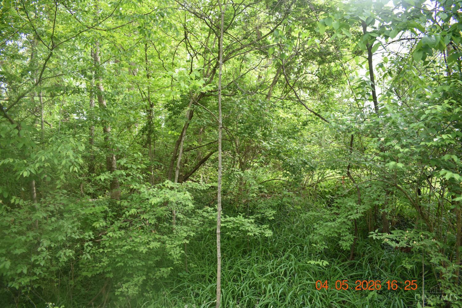 Schlitz Drive #211, Perry Twp, OH, 45118 — photo 2