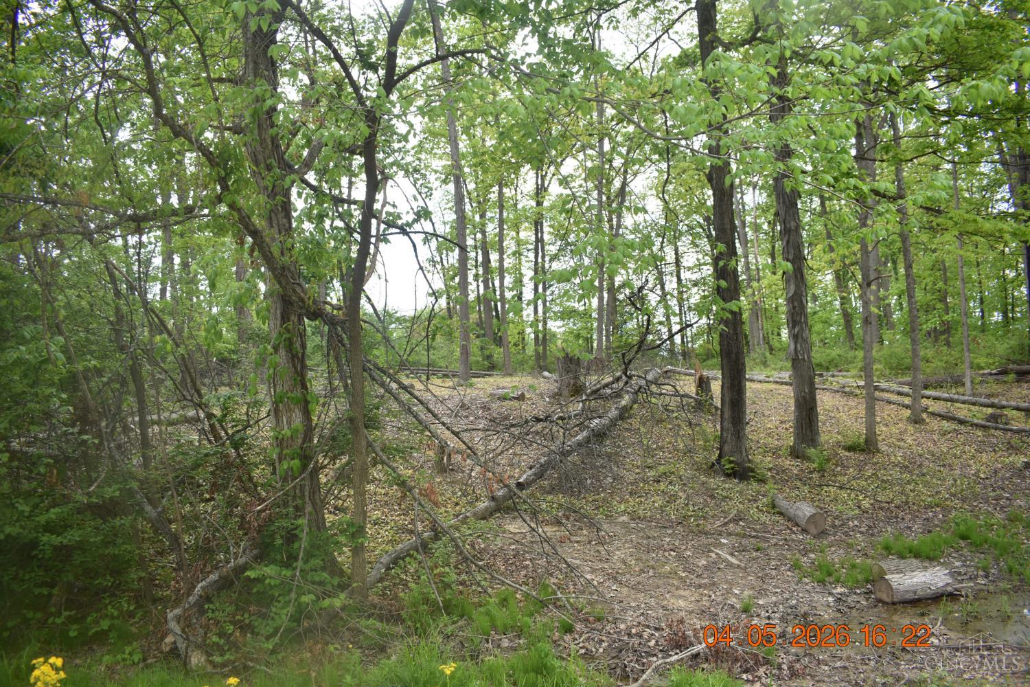 Schlitz Drive #208, Perry Twp, OH, 45118