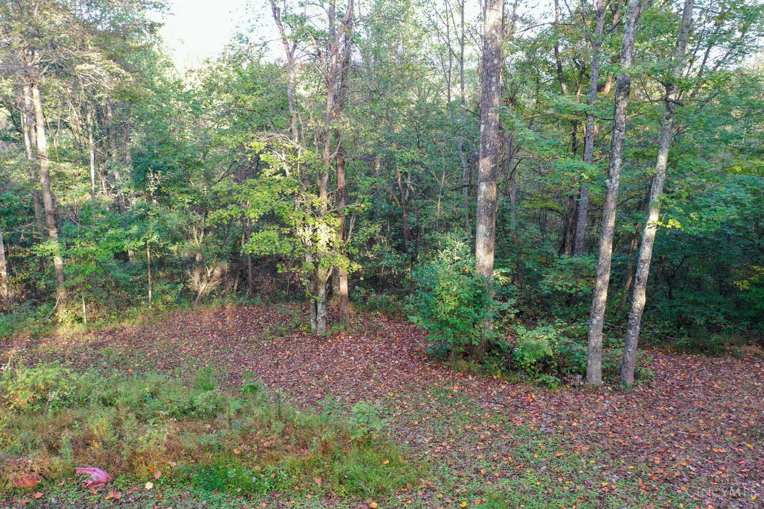 1285 Nelson Road, Jefferson Twp, OH, 45648 — photo 9