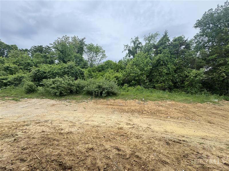 Homes for sale in New Richmond, OH | 173 Ashburn Wy, New Richmond, OH 45157 | MLS# 1873836