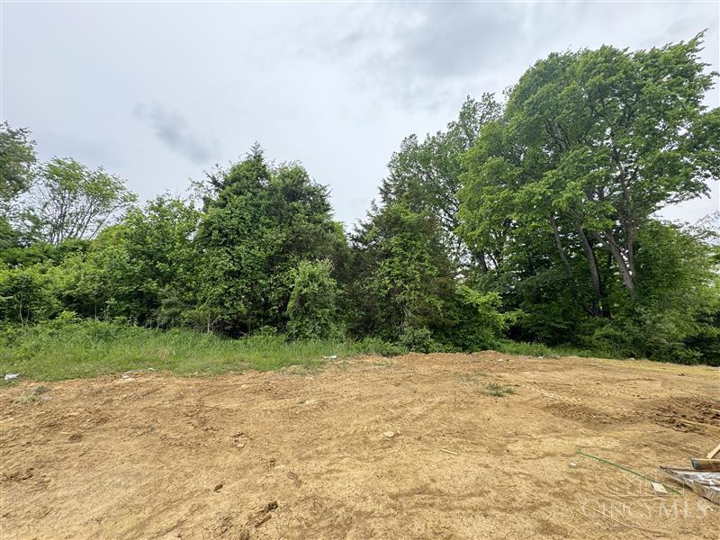 Homes for sale in New Richmond, OH | 175 Ashburn Wy, New Richmond, OH 45157 | MLS# 1873826