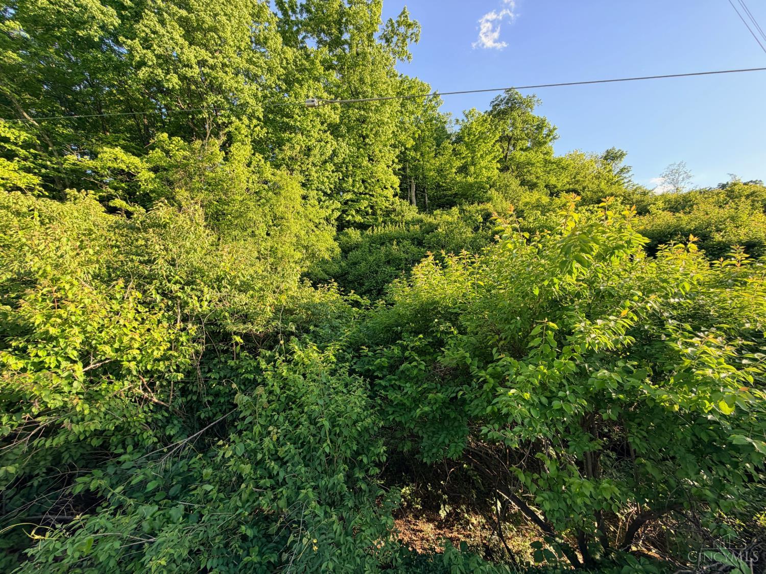 4302 Marcrest Drive, Cincinnati, OH, 45211 — photo 16