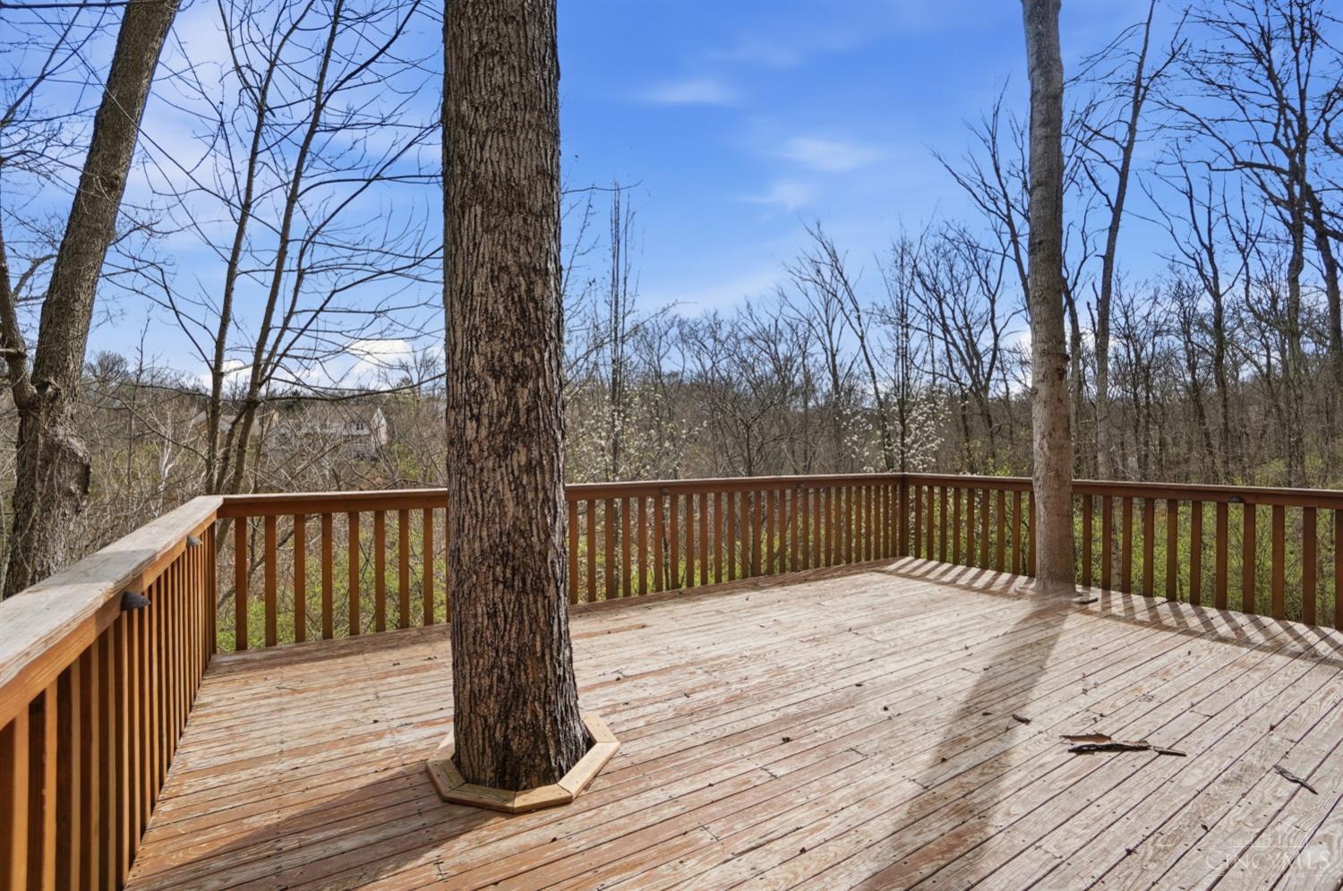 873 Miami Ridge Drive, Loveland, OH, 45140 — photo 85