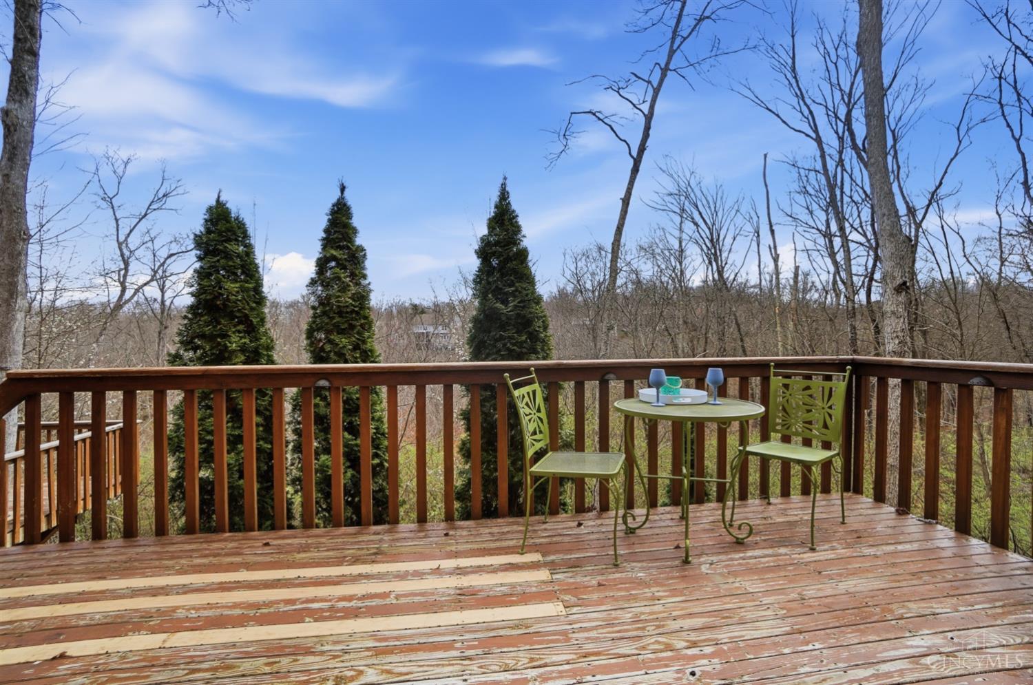 873 Miami Ridge Drive, Loveland, OH, 45140 — photo 79