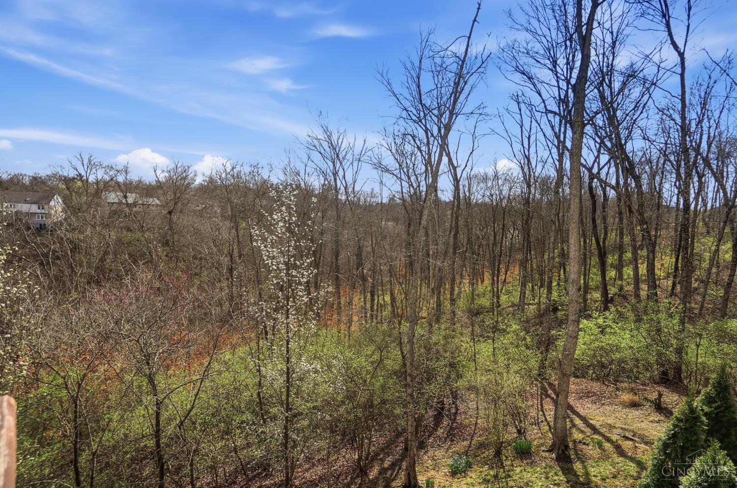 873 Miami Ridge Drive, Loveland, OH, 45140 — photo 29