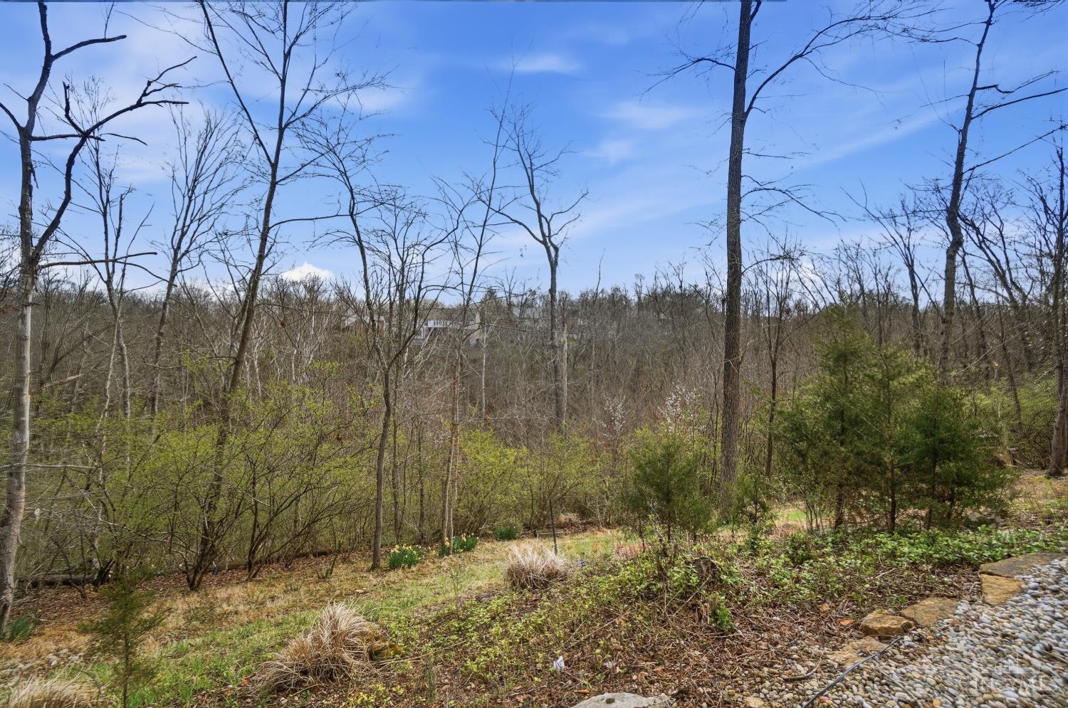 873 Miami Ridge Drive, Loveland, OH, 45140 — photo 88