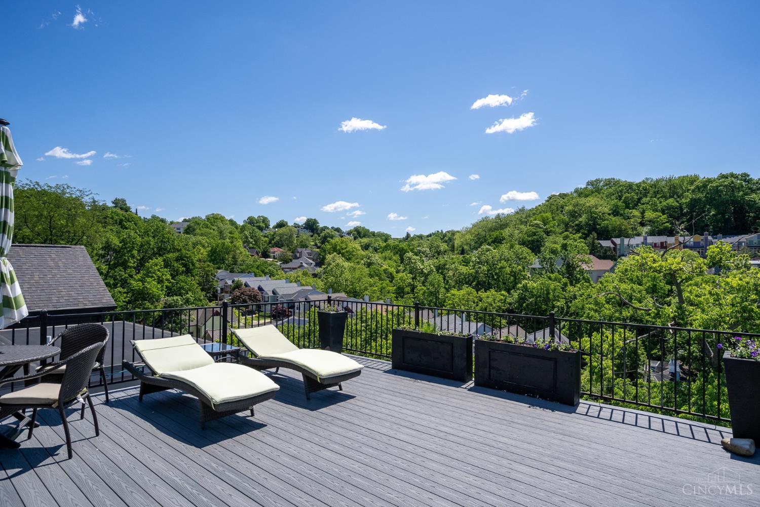 462 Strafer Street, Cincinnati, OH, 45226 — photo 48