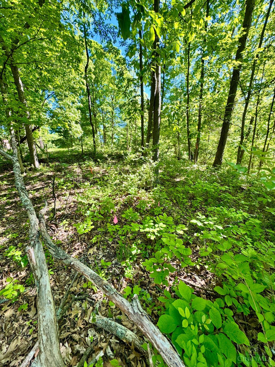 Kentucky Avenue, West Harrison, IN, 47060 — photo 13