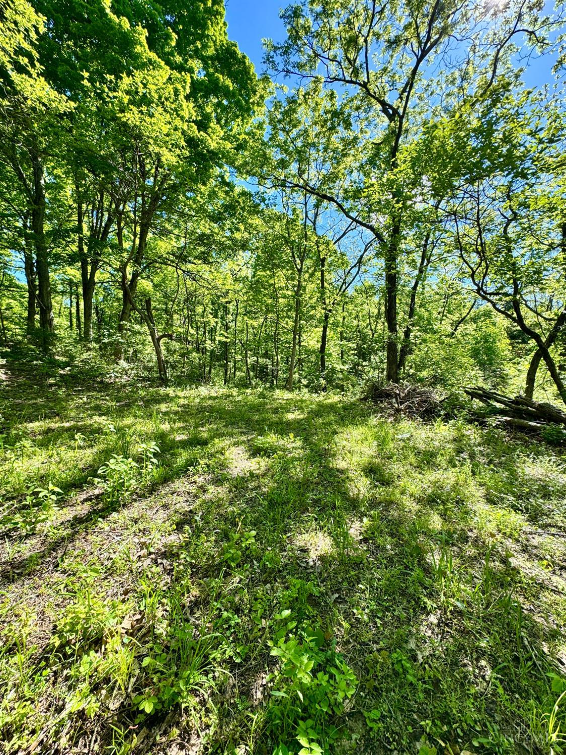 Kentucky Avenue, West Harrison, IN, 47060 — photo 10