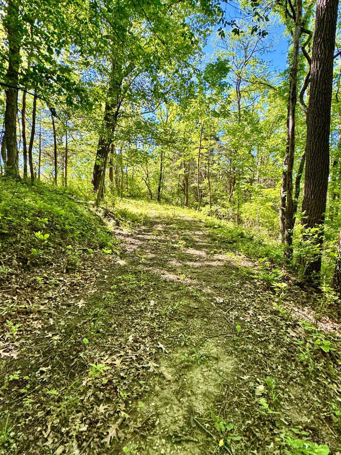 Kentucky Avenue, West Harrison, IN, 47060 — photo 8