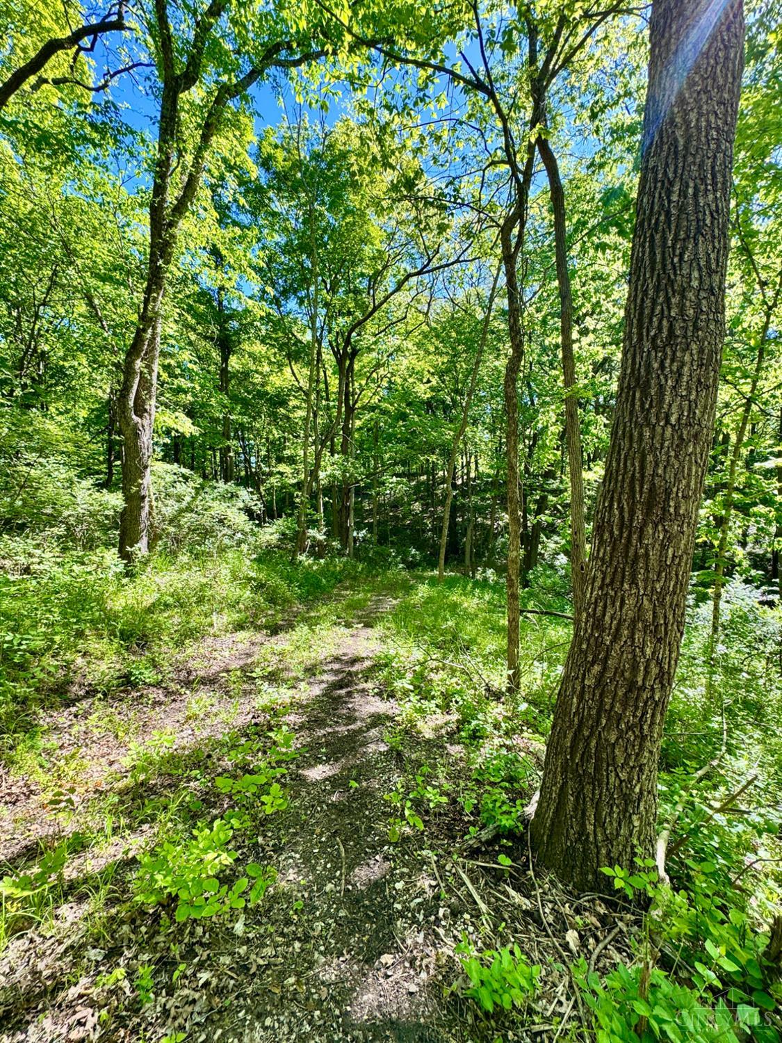 Kentucky Avenue, West Harrison, IN, 47060 — photo 4