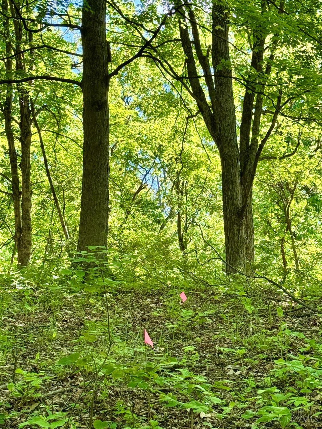 Kentucky Avenue, West Harrison, IN, 47060 — photo 9