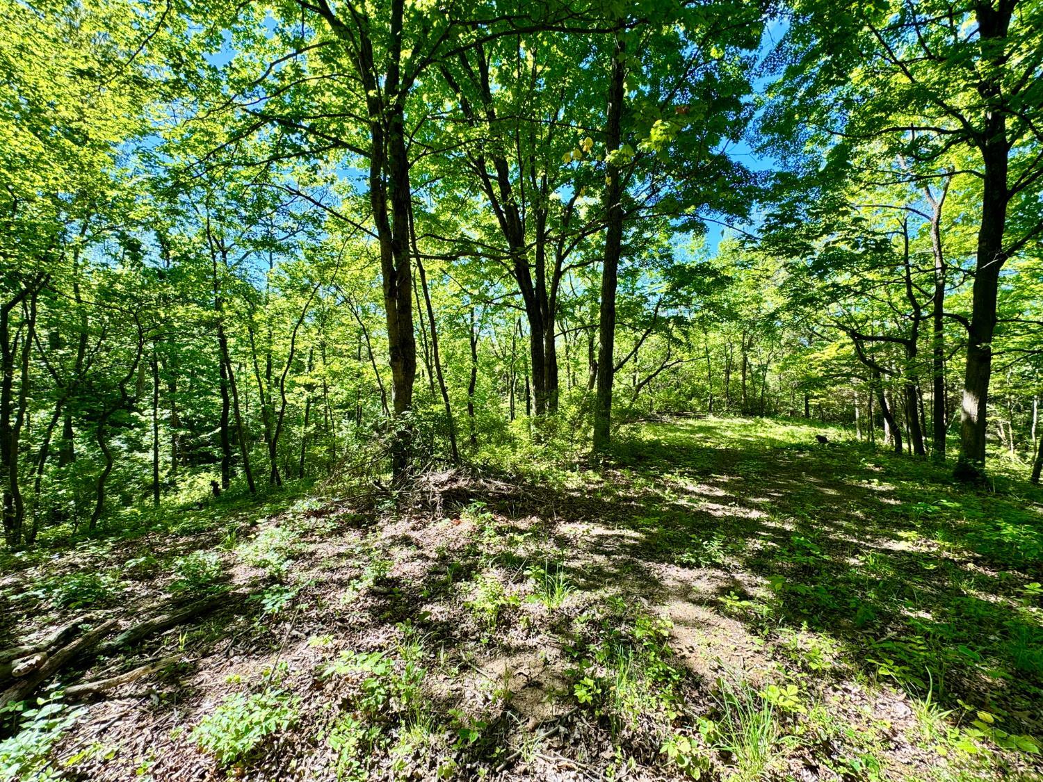Kentucky Avenue, West Harrison, IN, 47060 — photo 14
