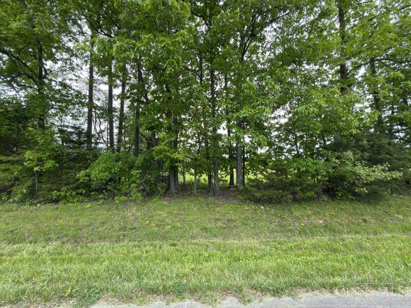 1 Texas Drive, Sardinia, OH, 45171 — photo 4