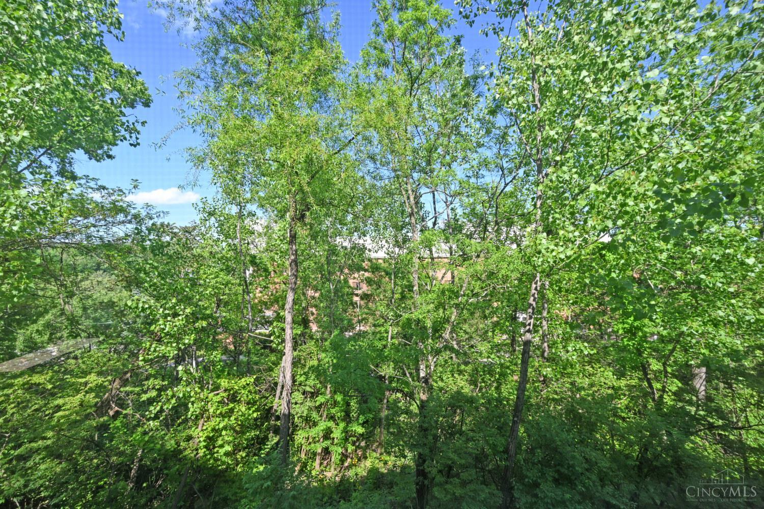 1080 Tuscany Place, Cincinnati, OH, 45226 — photo 59