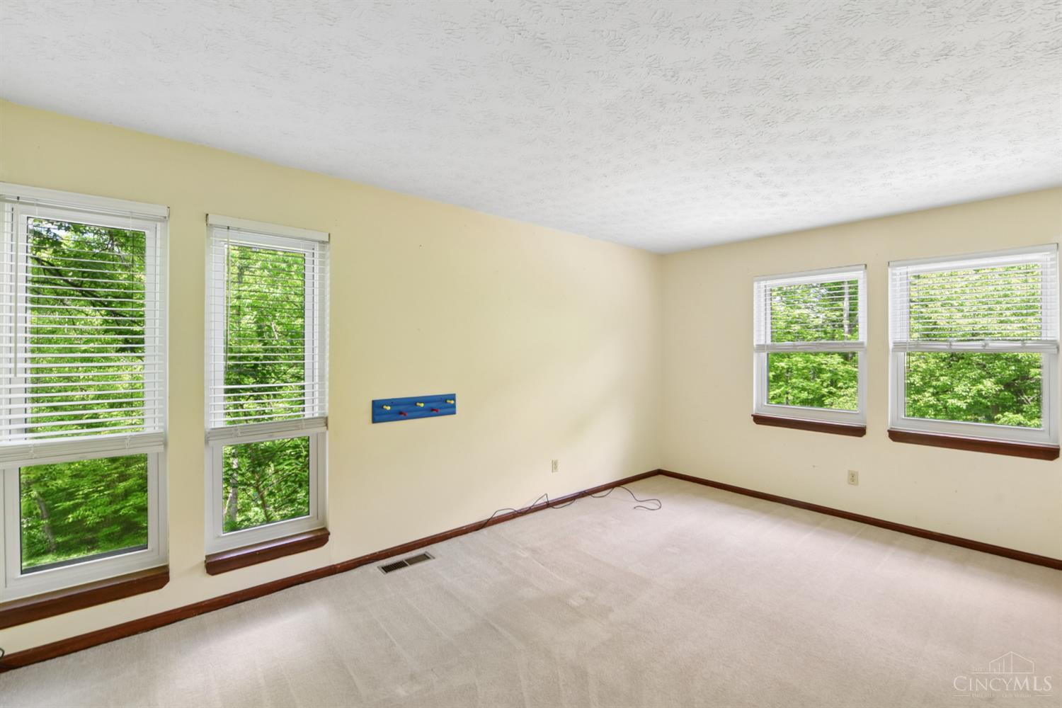 13 Cherokee Trail, New Richmond, OH, 45157 — photo 40