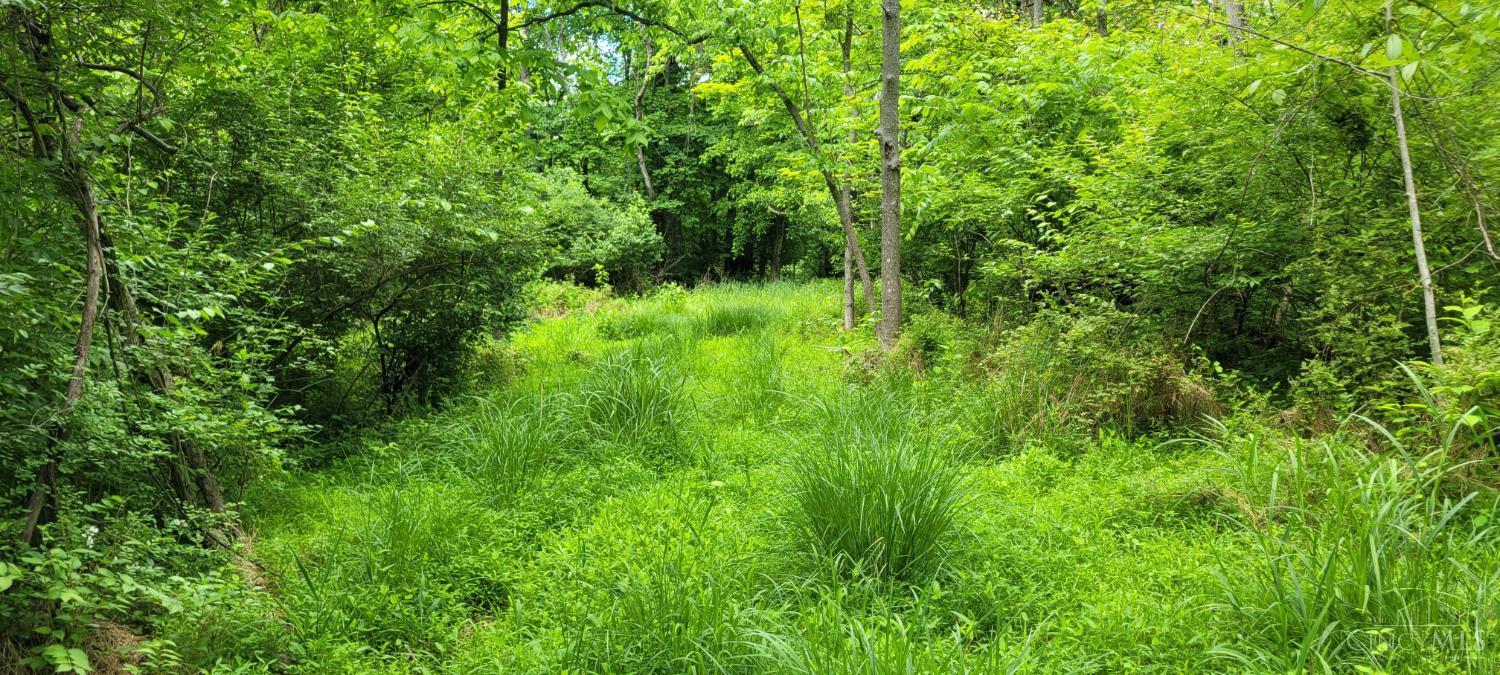 20.6 Ac Buckler Rd, Monroe Twp, OH, 45157 — photo 19