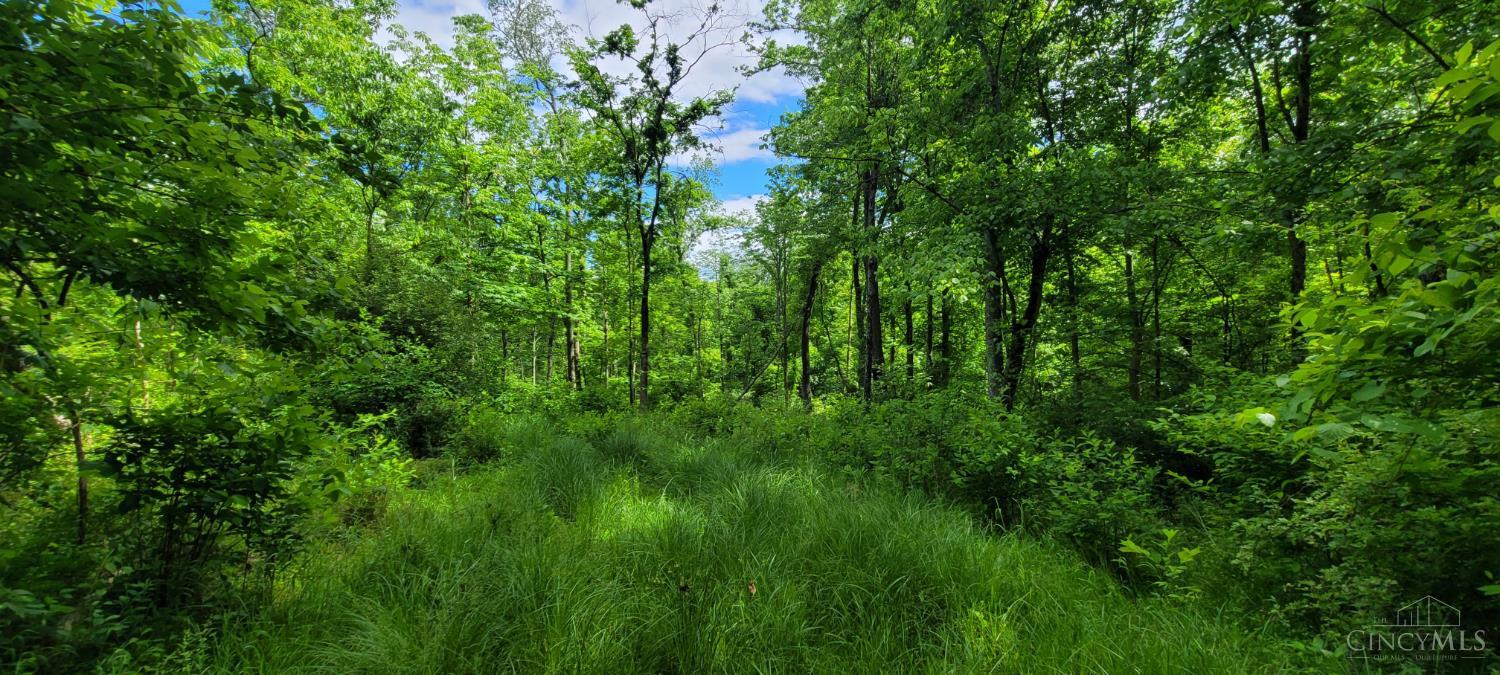 20.6 Ac Buckler Rd, Monroe Twp, OH, 45157 — photo 14