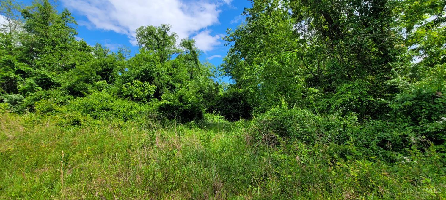 20.6 Ac Buckler Rd, Monroe Twp, OH, 45157 — photo 21
