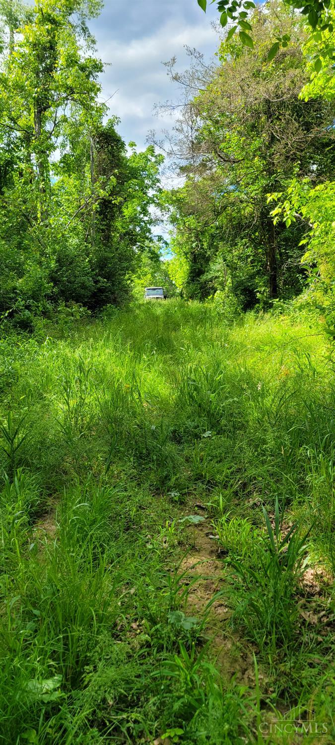 20.6 Ac Buckler Rd, Monroe Twp, OH, 45157 — photo 10