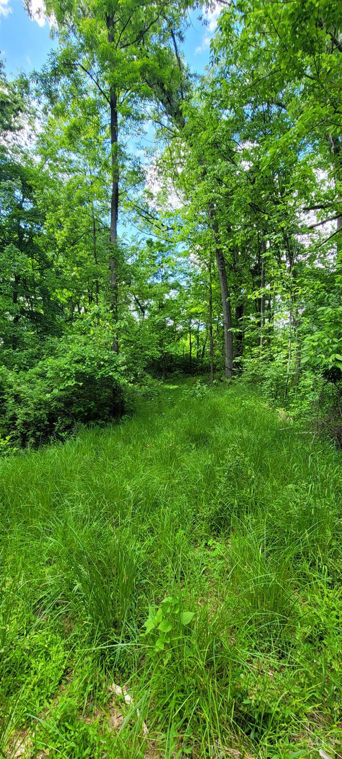 20.6 Ac Buckler Rd, Monroe Twp, OH, 45157 — photo 13