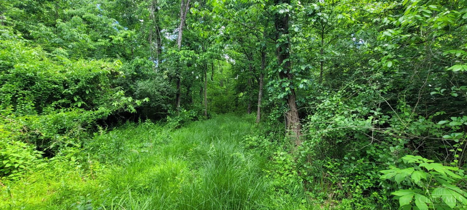 20.6 Ac Buckler Rd, Monroe Twp, OH, 45157 — photo 17