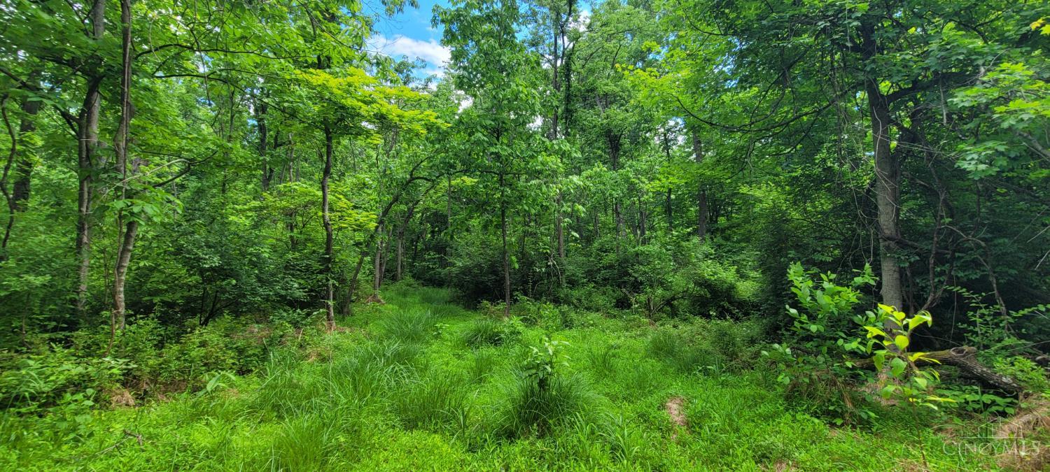 20.6 Ac Buckler Rd, Monroe Twp, OH, 45157 — photo 22