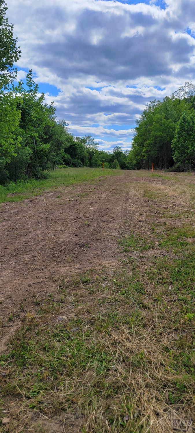 20.6 Ac Buckler Rd, Monroe Twp, OH, 45157 — photo 8
