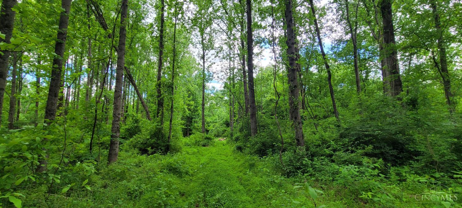 20.6 Ac Buckler Rd, Monroe Twp, OH, 45157 — photo 33