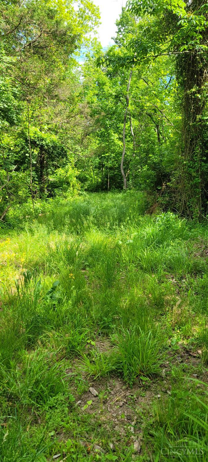 20.6 Ac Buckler Rd, Monroe Twp, OH, 45157 — photo 12