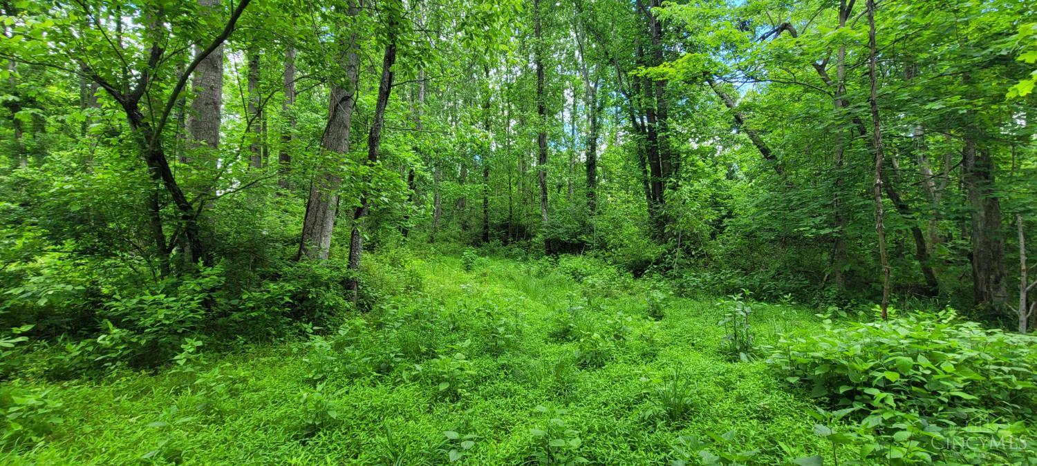 20.6 Ac Buckler Rd, Monroe Twp, OH, 45157 — photo 31
