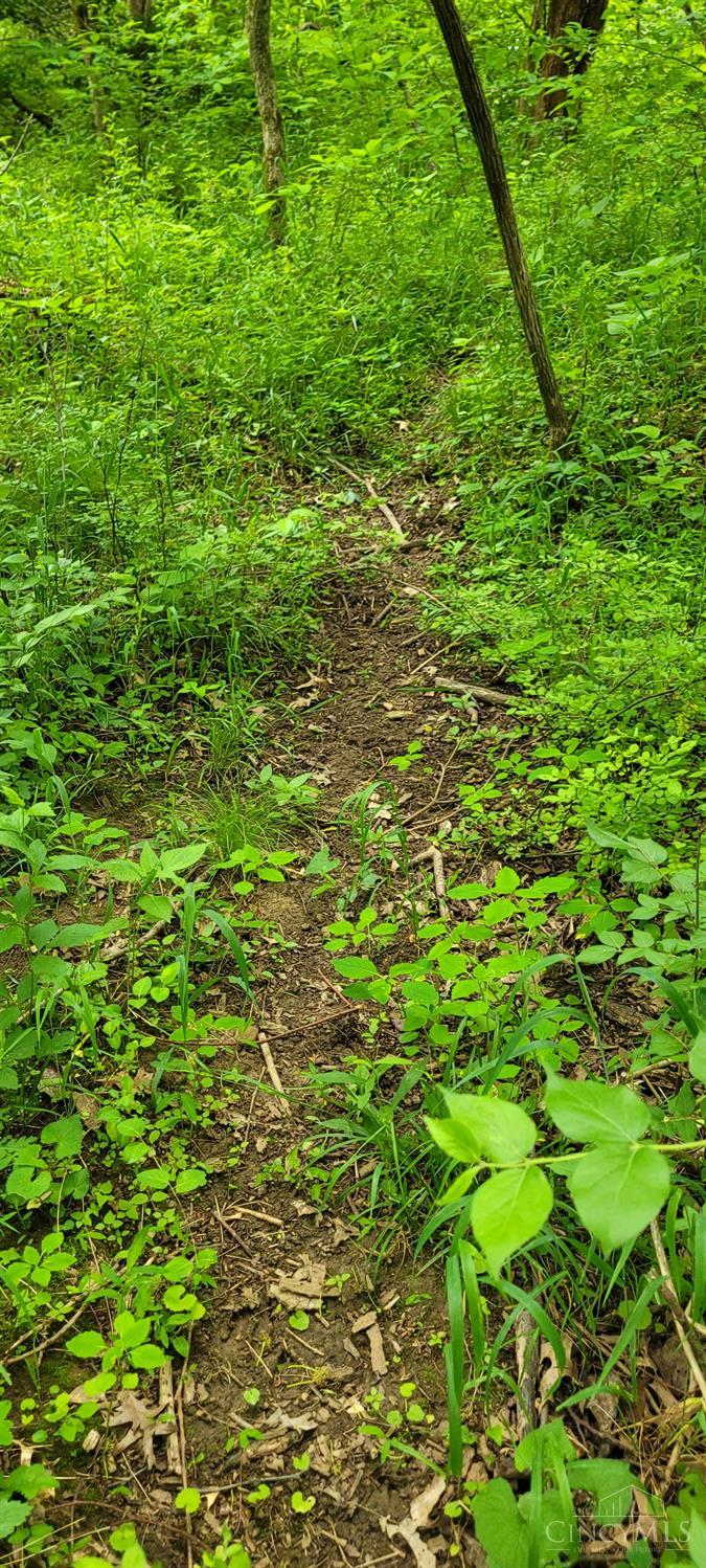 20.6 Ac Buckler Rd, Monroe Twp, OH, 45157 — photo 29