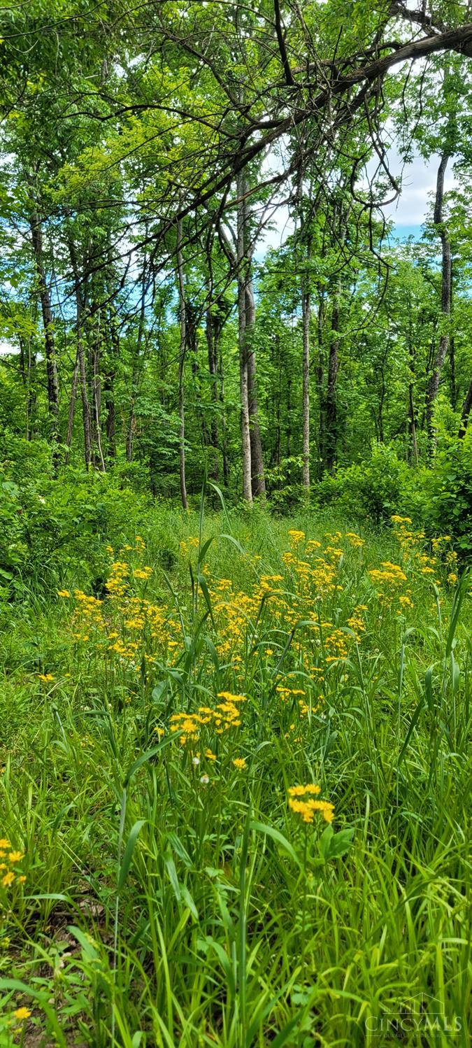 20.6 Ac Buckler Rd, Monroe Twp, OH, 45157 — photo 9