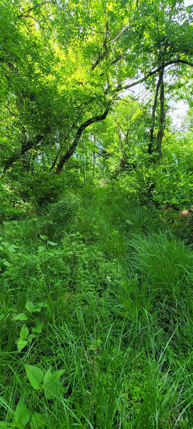20.6 Ac Buckler Rd, Monroe Twp, OH, 45157 — photo 25