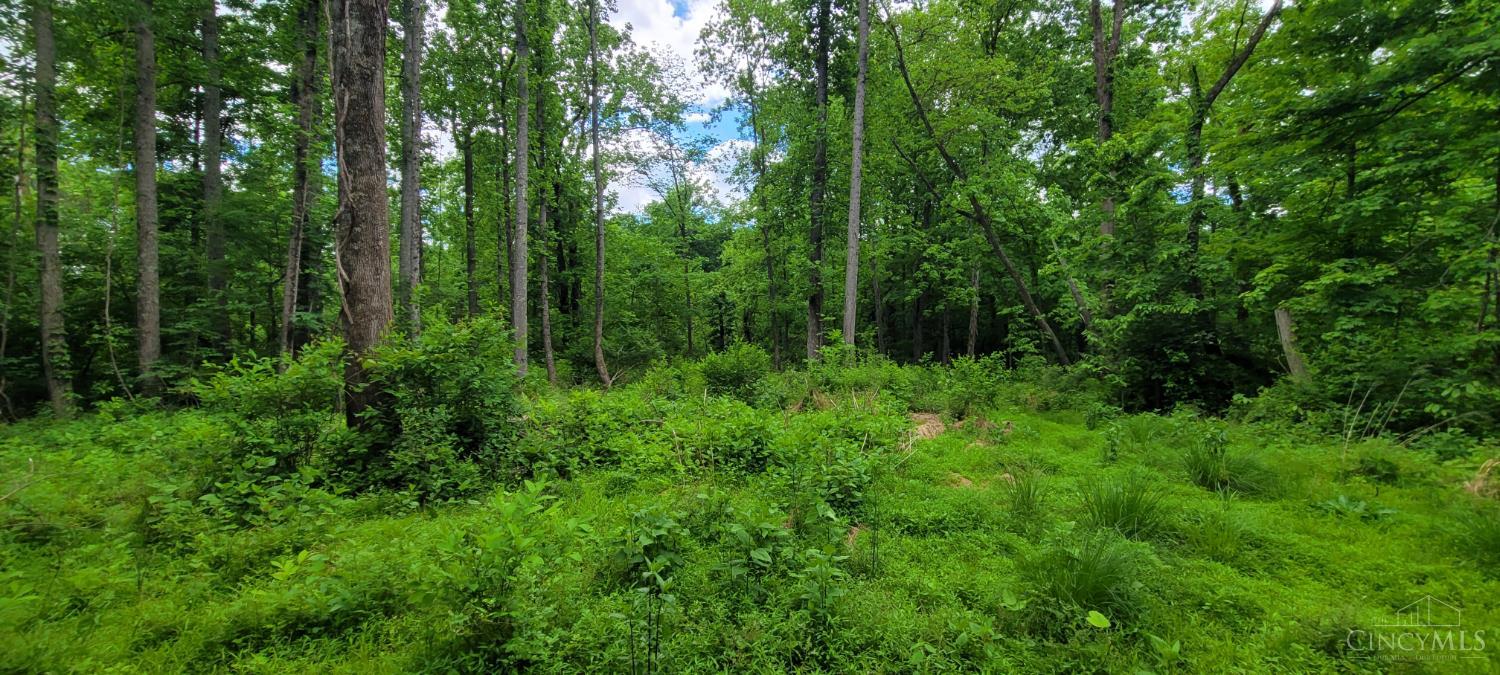 20.6 Ac Buckler Rd, Monroe Twp, OH, 45157 — photo 32