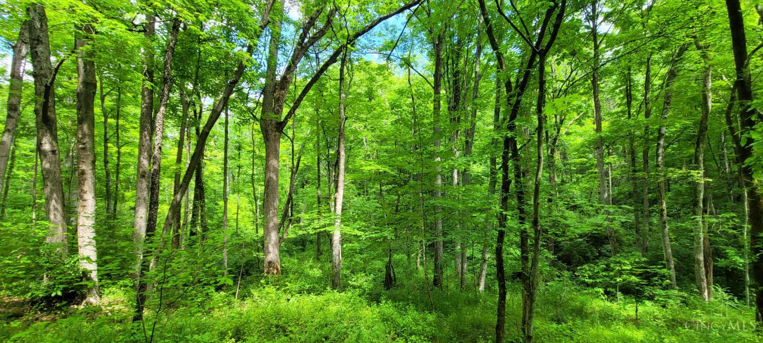 20.6 Ac Buckler Rd, Monroe Twp, OH, 45157 — photo 24